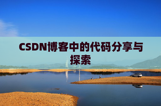 CSDN博客中的代码分享与探索